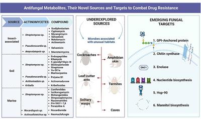 Antifungal metabolites, their novel sources, and targets to combat drug resistance